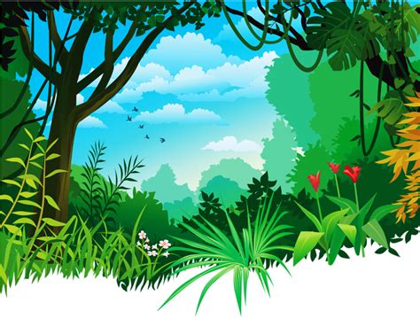 rainforest background clipart 10 free Cliparts | Download images on Clipground 2024