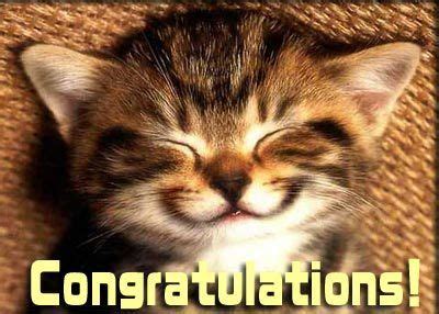 congratulations kitten | Animal jokes, Funny cat pictures, Cute funny animals