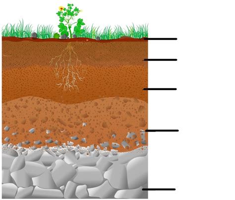 Soil Profile Diagrams Labelling