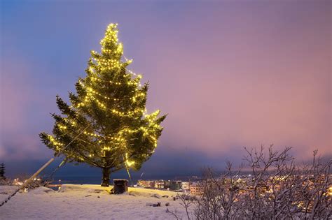 - Iceland 24 - Iceland Travel and Info Guide : Christmas in Iceland. The best winter holidays!