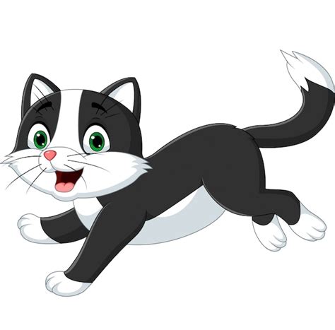 Gato blanco y negro de dibujos animados | Vector Premium