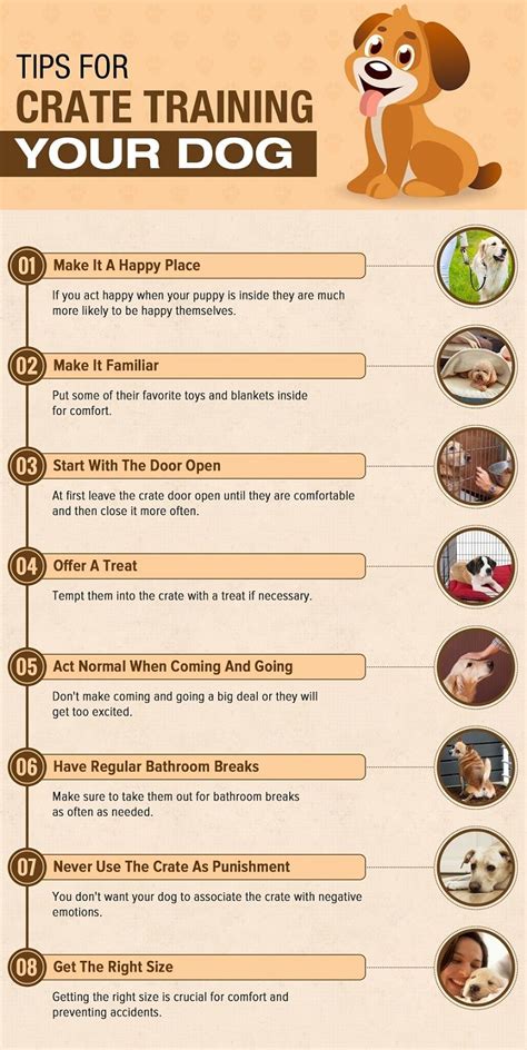 Tips for crate training your dog – Artofit