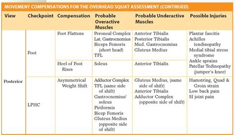 17 best images about movement assessment on Pinterest | Study guides, Training and Science