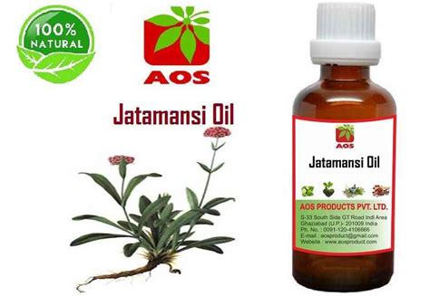 7 Proven Uses, Benefits of Jatamansi Oil in Sleep, Hair - Manufacturer