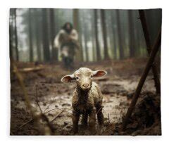 Sheep Fleece Blankets for Sale by Kevin Carden