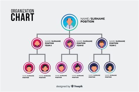 Premium Vector | Organization chart in 2024 | Organization chart, Org ...