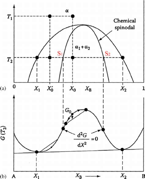 Schematic free energy diagram of the spinodal decomposition. ( a ...