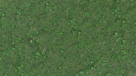 Grass PBR Texture by Eagle Soft