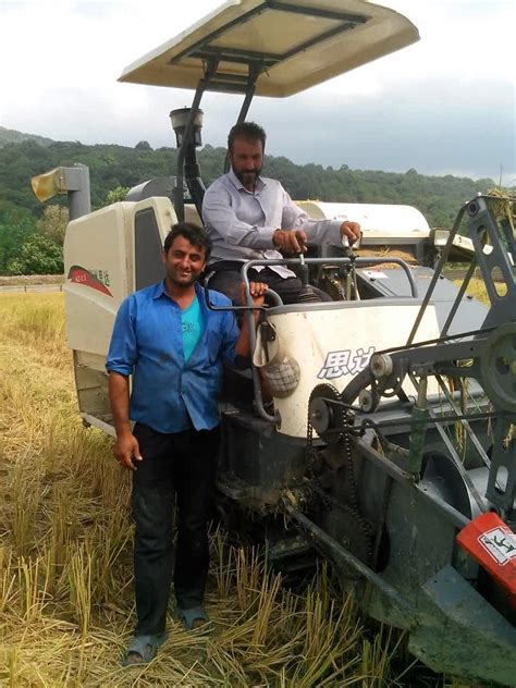 Small Rice Combine Harvester Philippines Paddy Harvester Price in India ...