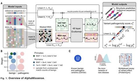 Google DeepMind Releases AlphaFold Powered AlphaMissense – AIM