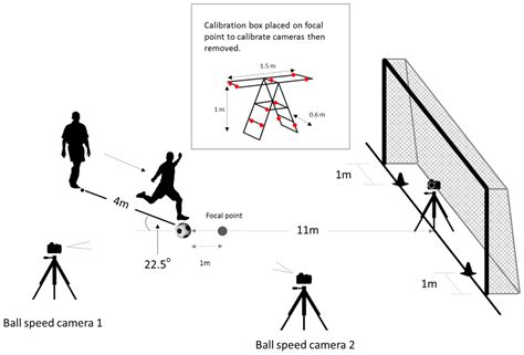 Sports | Free Full-Text | Anticipating the Direction of Soccer Penalty Shots Depends on the ...