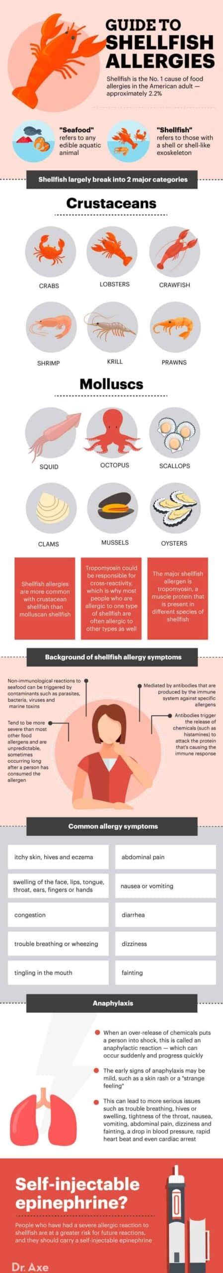 Shellfish Allergy Symptoms, Causes, Natural Remedies and More - Dr. Axe