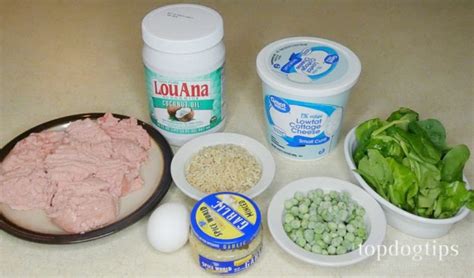 Using Garlic in Homemade Dog Food Recipes (Safety, Dosage, Benefits)