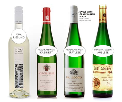 The Mosel Valley Wine Guide | Wine Folly