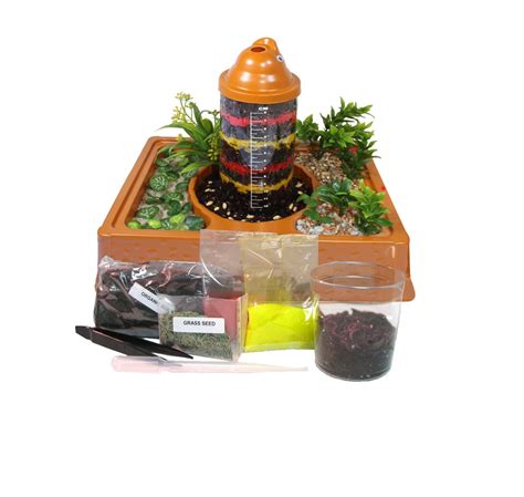 Observation Worm Farm Kit for Kids with LIVE Worms Sent NOW. See Worms Working! | eBay