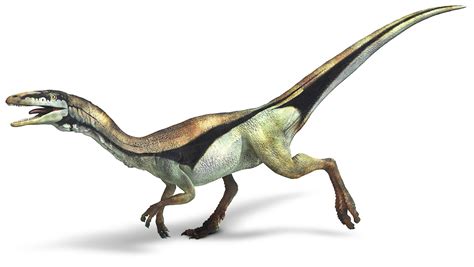 Compsognathus Dinosaur Information, Dinosaur Facts, Spinosaurus, Eat ...