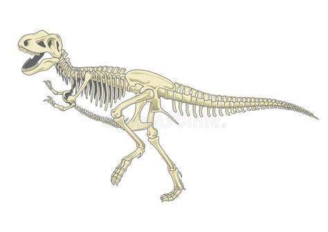 Simple Dinosaur Skeleton Drawing - Denue Voconesto