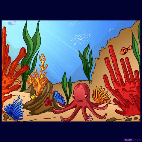 how to draw a coral reef | Coral reef drawing, Coral reef, Guided drawing