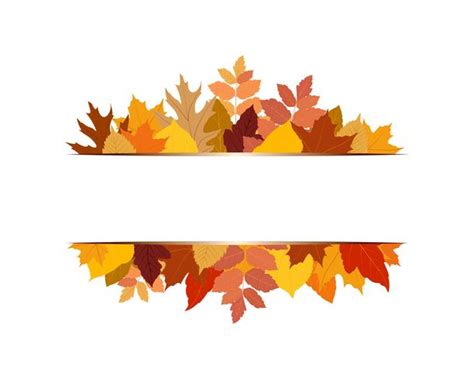 Vector illustration of various colorful autumn leaves with banner on white background 656391 ...