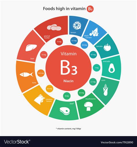 Foods high in vitamin B3 Royalty Free Vector Image