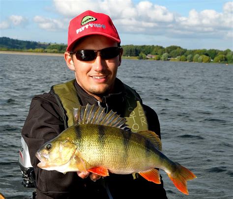 Fly Fishing for Specimen Perch at Chew Valley Lake - Fulling Mill Blog