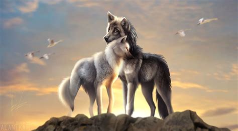 Love Wolves on Dog, wolf couple HD wallpaper | Pxfuel