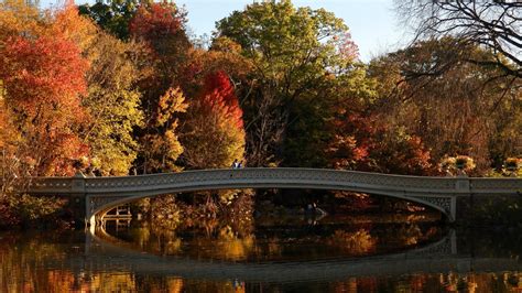 Best fall foliage in US: Central Park tops the list, according to Yelp – NBC New York