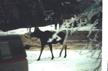 Winslow Maine city portal. History | Winslow Maine city portal