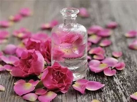 Pure Rose Water (Gulab Jal), For Parlour, Packaging Size: 1 L at Rs 700 ...