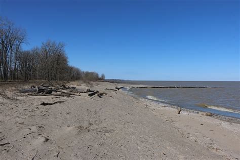 Michigan Exposures: A Trip to Magee Marsh Wildlife Area