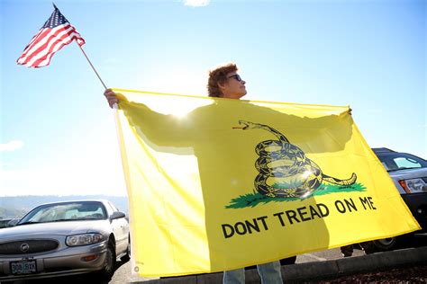 Yellow Gadsden flag, prominent in Capitol takeover, carries a long and ...