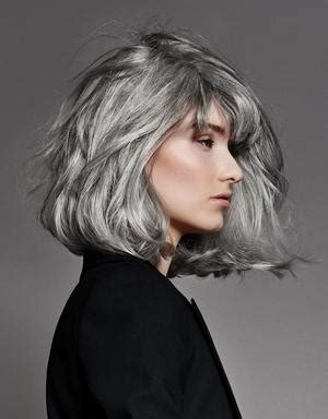 Coloration Cheveux Gris | julypaulaviola blog