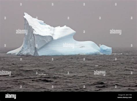 Iceberg near Esperanza Base, Antarctica Stock Photo - Alamy