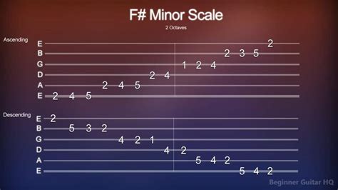 F#m7 Guitar Chord - Finger Positions, How-to, Variations | Beginner Guitar HQ