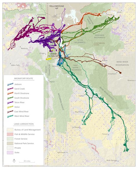 Mule Deer Migration Study - Grand Teton National Park (U.S. National ...