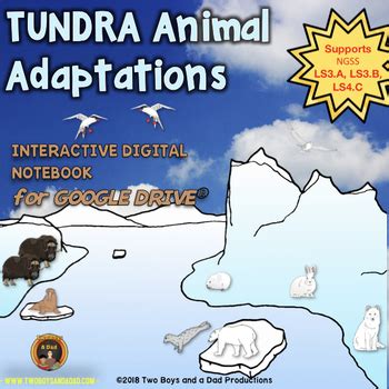 Tundra Animal Adaptations Interactive Notebook Google Slides® Distance Learning