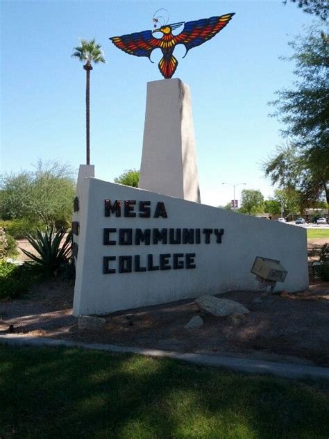 Mesa Community College | Community college, College, Community