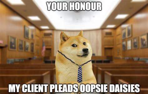 Your Honor My Client Pleads Oopsie Daisie | Your Honor | Know Your Meme