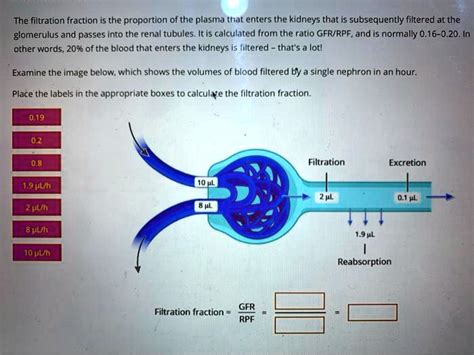 SOLVED: The filtration fraction is the proportion of the plasma that ...