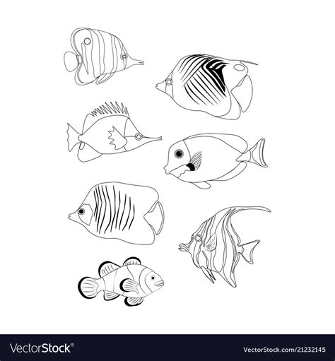 Tropic coral fish coloring pages Royalty Free Vector Image