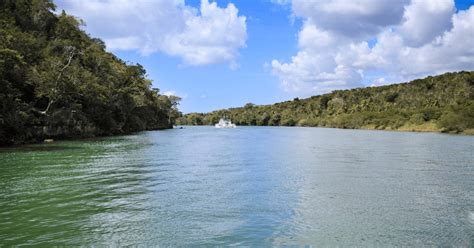 Rainforest Eco Cruise | Brunswick Heads - Fortem Australia