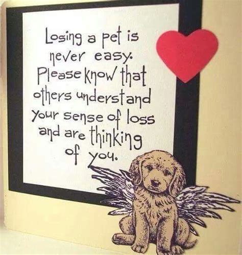 RIP my boy 12-7-14 | Dog sympathy, Dog sympathy card, Pet sympathy
