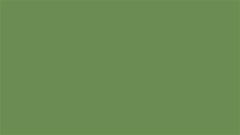 Pantone 17-0230 Tcx Forest Green Color | Hex color Code #6b8d53 ...