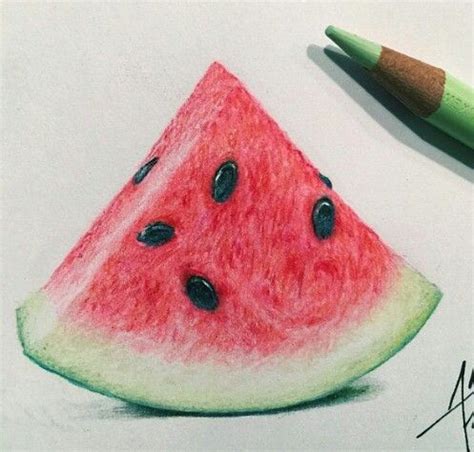 Watermelon | Prismacolor art, Color pencil drawing, Watermelon drawing