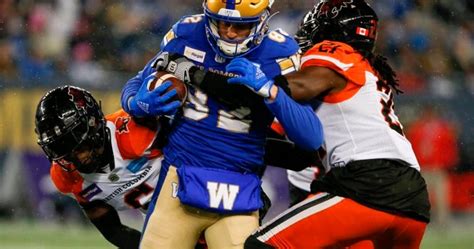 Winnipeg Blue Bombers re-sign receiver Wolitarsky in contract extension ...