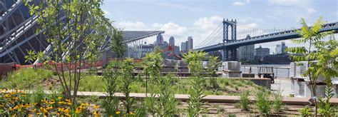 NYC’s new “eco-park” and urban beach is designed to help clean the waterfront