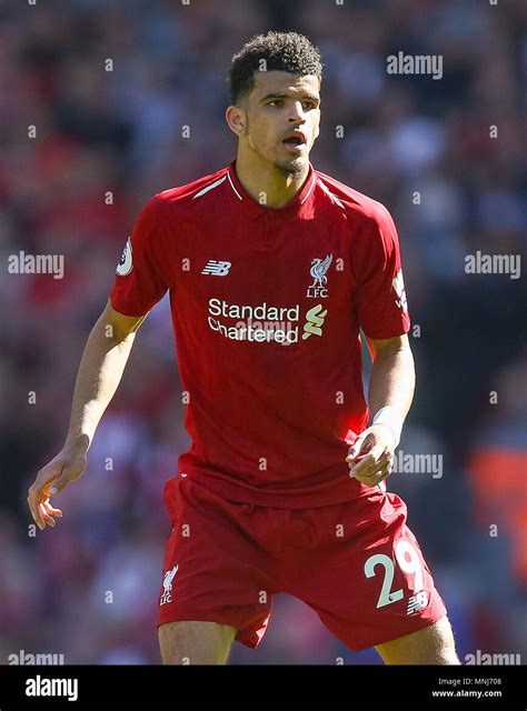 Liverpool's Dominic Solanke Stock Photo - Alamy