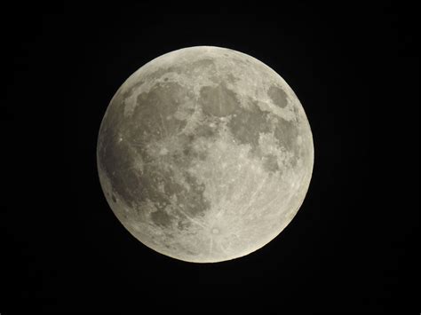 Related Keywords & Suggestions for nikon coolpix p900 moon