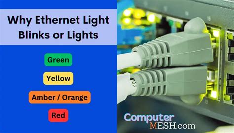 Ethernet Port Lights Meaning - Why it Blinks Explained.