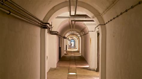 Jersey War Tunnels - German Underground Hospital Tours - Book Now | Expedia